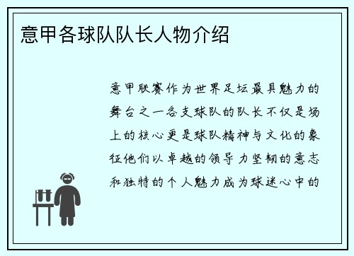 意甲各球队队长人物介绍